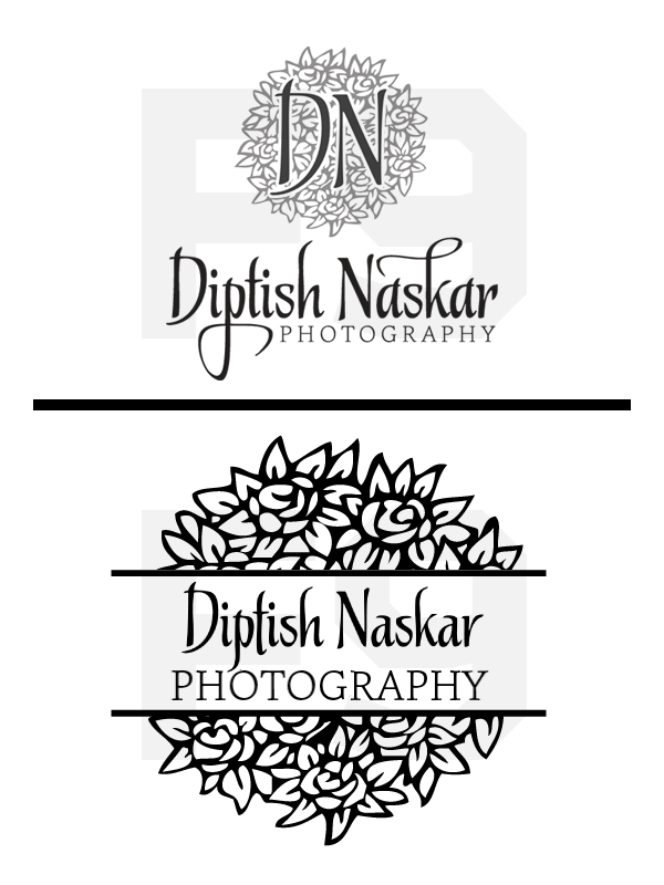 Diptish Naskar Photography logo 2.png