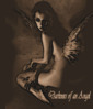 darkness_of_an_angel.jpg