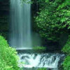 img_waterfall.jpg