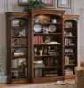 Bookshelves.gif