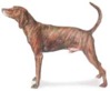 plotthound.jpg