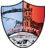 blandford fc.png