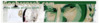 banner1.jpg