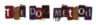 tdm.png