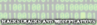hcam.png