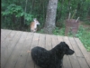20090707_IMG_0138.jpg