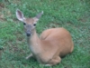 20090708_IMG_0154.jpg