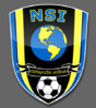 NSI_Badge1.jpg