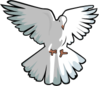 dove-hover.png