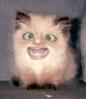 image001.jpg