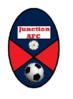 Junction Badge.jpg