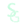 SG logo copy.png