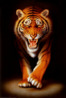 24005stalking-tiger-posters.jpg