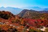 taishan.jpg