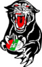 panther-resize.jpg