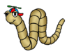 Worm.png