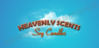 HS_logo.jpg