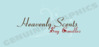 HS_logo3.jpg