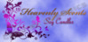 HS_logo4.jpg