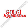 GA_logo-2.jpg