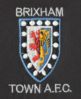 Town Badge2.jpg