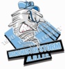 new-storm-logo2.jpg