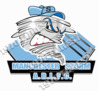 new-storm-logo2.jpg