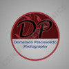 DPP_logo.jpg