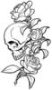 skullandroses.jpg