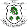 BFC copy3.jpg