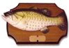 singing-fish-original.jpg