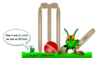 cricket_anyone.png
