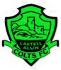 castellbadge-forum.jpg