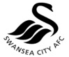 swansea badge.jpg