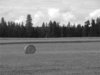 051.JPG