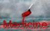 meds.jpg